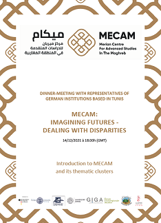 MECAM – Merian Centre For Advanced Studies in the Maghreb