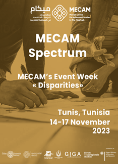 MECAM – Merian Centre For Advanced Studies in the Maghreb