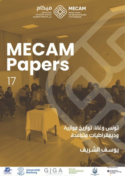 MECAM Paper 17 Digital Web Version_Page_32 MECAM Paper 17 Digital Web Version_Page_32